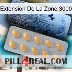 Exten Zone 3000 44